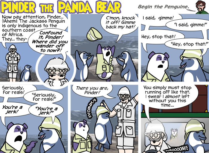 Safari, part 4! Safari, part 4!
